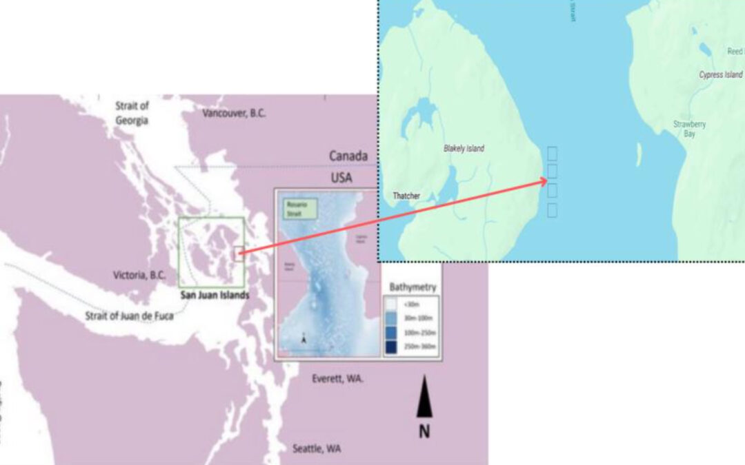 Proposed Rosario Strait Tidal Turbine Project